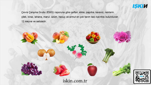 Food Sterilizer Machine C-1