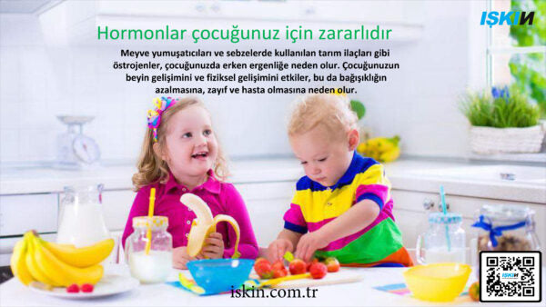 Food Sterilizer Machine C-1