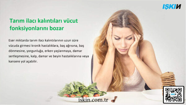 Food Sterilizer Machine C-1