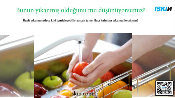 Food Sterilizer Machine C-1