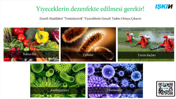 Food Sterilizer Machine C-1