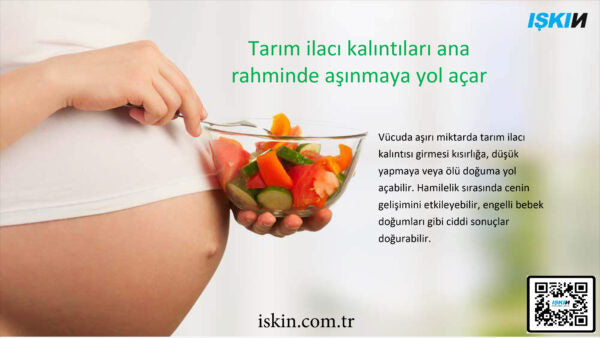 Gıda Sterilize Makinesi C-1